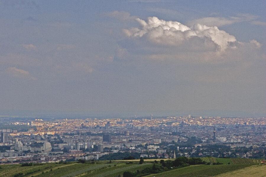 Foto 25/26 (Wien vom Leopolsberg aus)